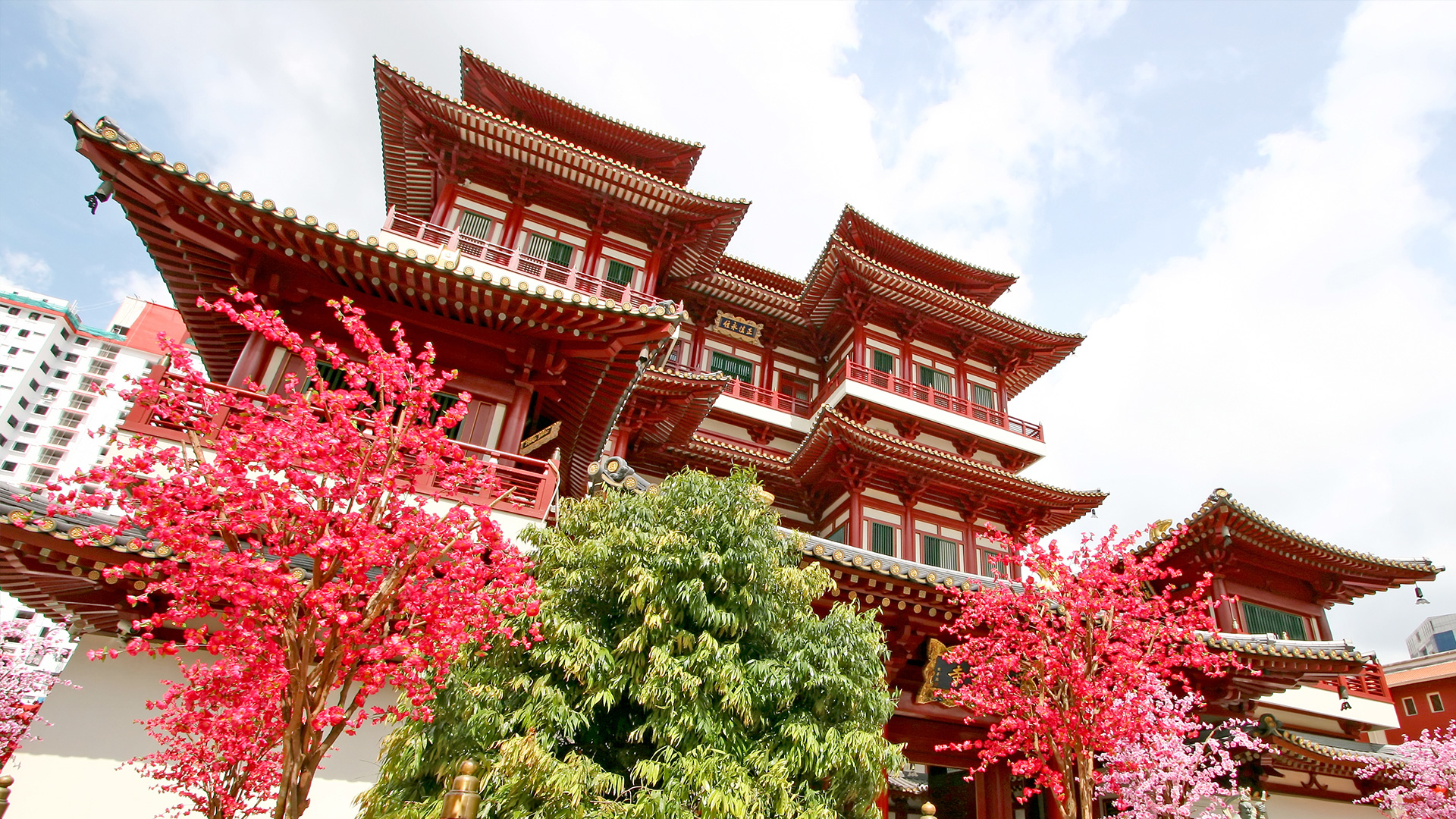 Elegant Bali Turu THY ile Ekstra Turlar Dahil