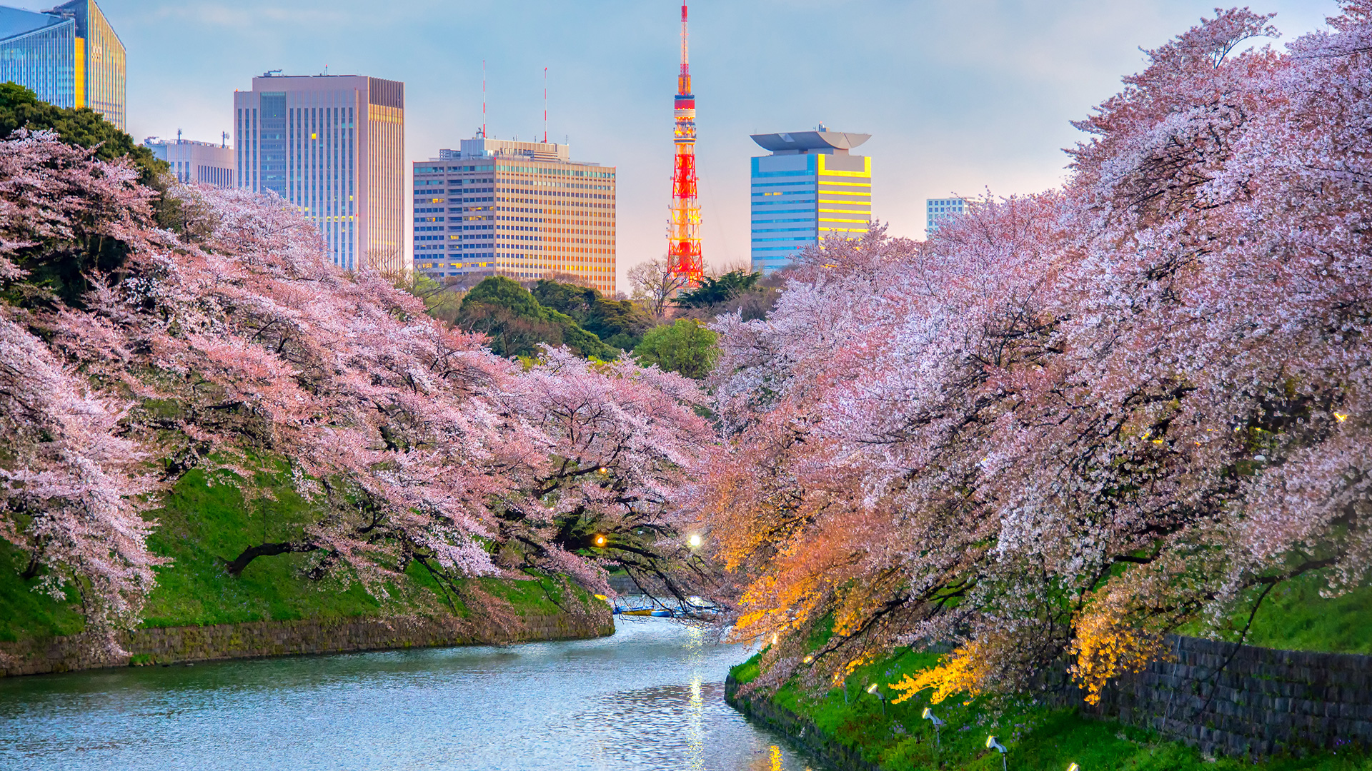 Türk Hava Yolları ile Doğan Güneşin Ülkesi Japonya 7 Gece 10 Gün / Ekstra Turlar Dahil, Tokyo Başlangıçlı
